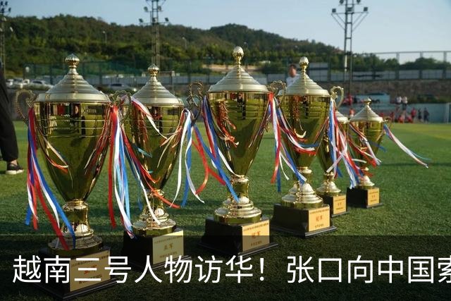 越南三号人物访华！张口向中国索要特权，中方没松口：根源在自身